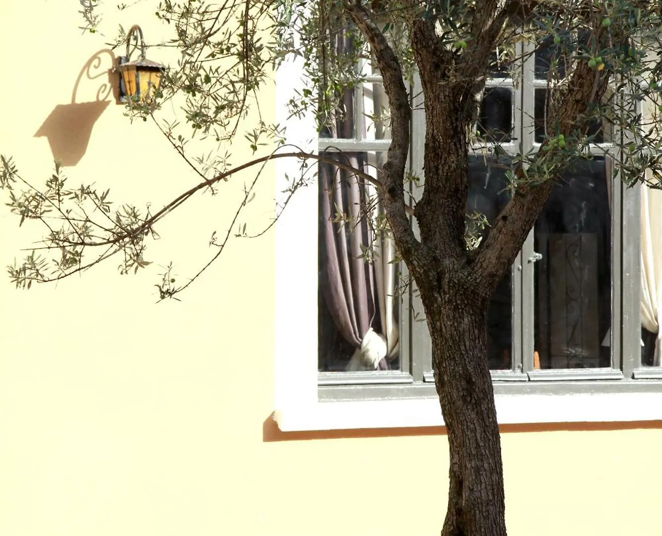 Logis Hotel Le Clos Des Oliviers Bourg-Saint-Andeol